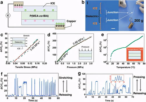自修复强机械性离子凝胶 孙桃林与贾铮领衔的先进材料创新