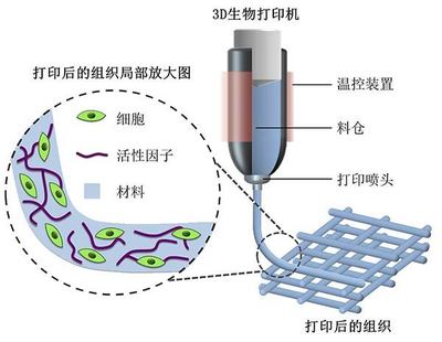 探索2018高考专业新选择 生物功能材料，未来3D打印的基石